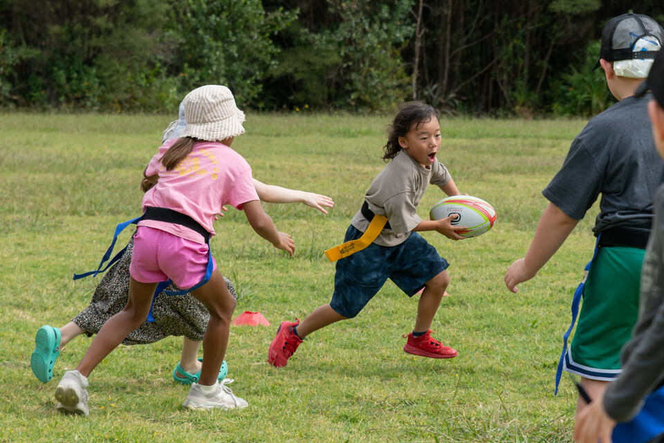 DSC_2299-1.JPG#asset:2211